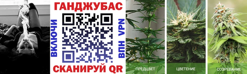 Купить закладку Гашиш  Альфа ПВП  АМФ  Галлюциногенные грибы  Меф  COCAIN  Злынка