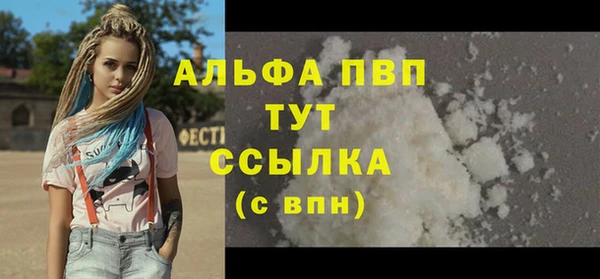 ECSTASY Гусь-Хрустальный