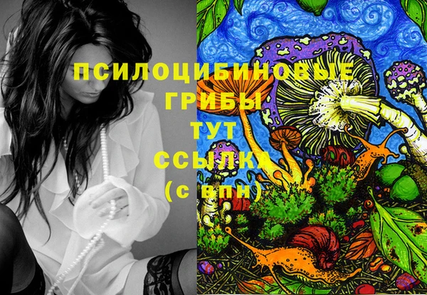 mix Гусиноозёрск