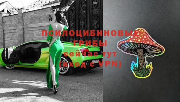 ECSTASY Гусь-Хрустальный