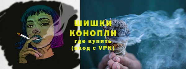 мет Дмитриев