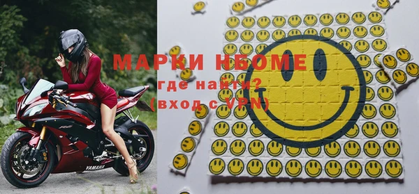 ECSTASY Гусь-Хрустальный