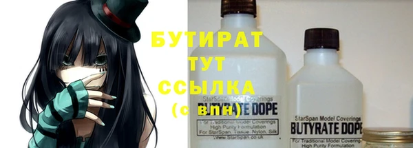 ECSTASY Гусь-Хрустальный