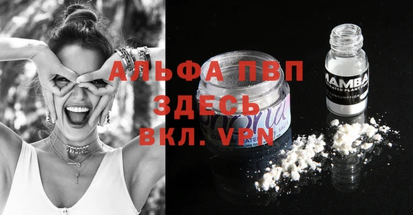 ECSTASY Гусь-Хрустальный