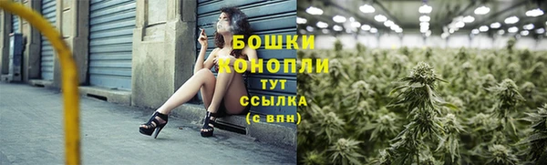 mix Гусиноозёрск